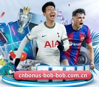 bob体育 APP 界面