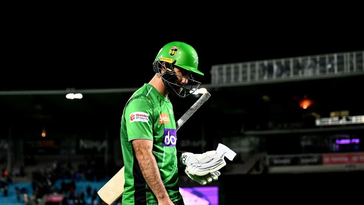 CricketVictoria申请流浪者商标板球阵容伤病轮换前瞻